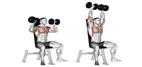 5 Shoulder Exercises You Should Be Doing 