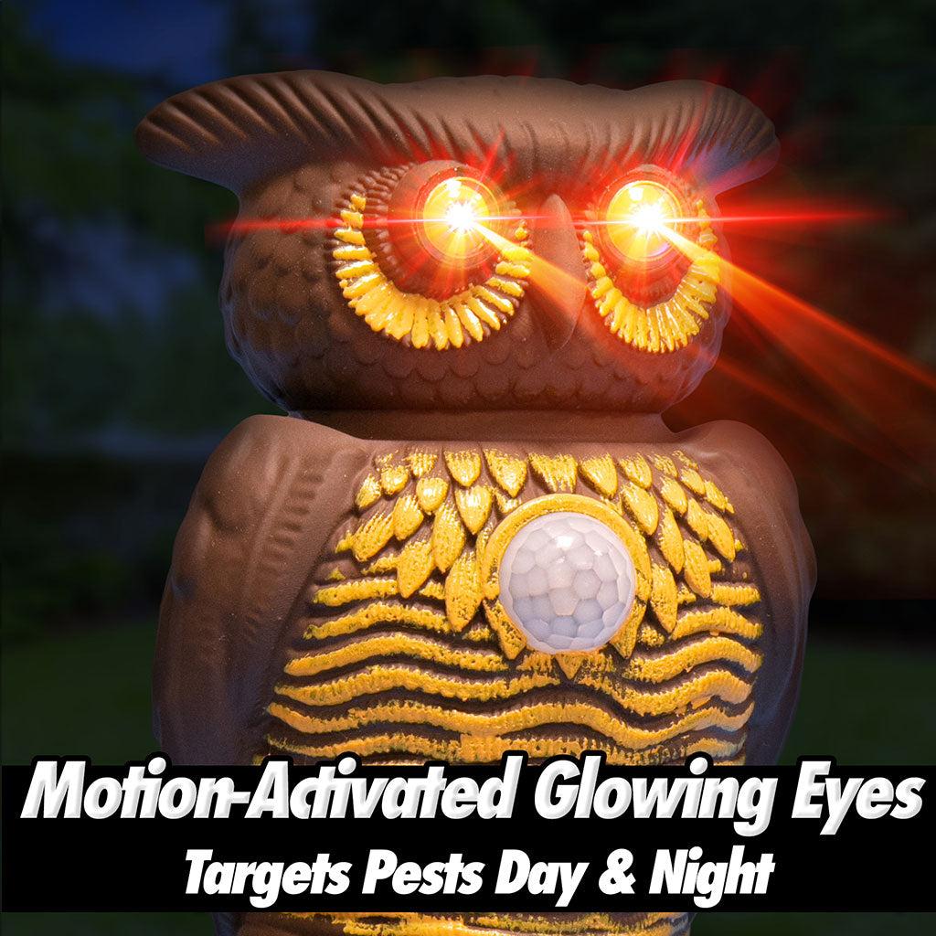 owl night light target