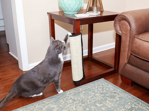 Cat Scratch Mat