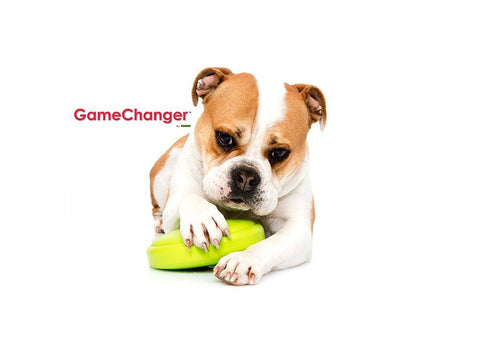 Gamechanger - The Ultimate Toy For Dogs