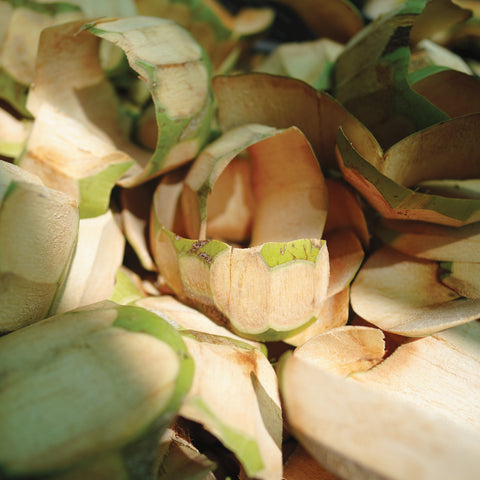 Photo of coconut husk