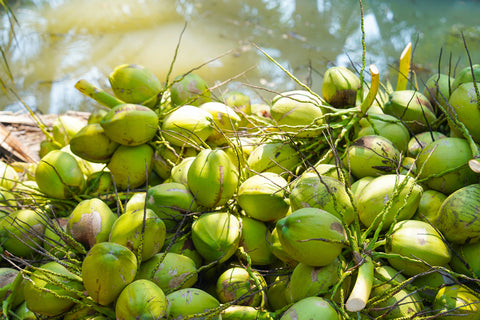 Copra's Organic Young Thai Nam Hom Coconuts