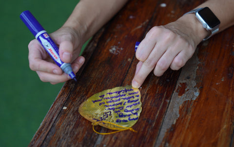 Writing wishes on a golden leaf at a Buddhist temple in Bangkok 