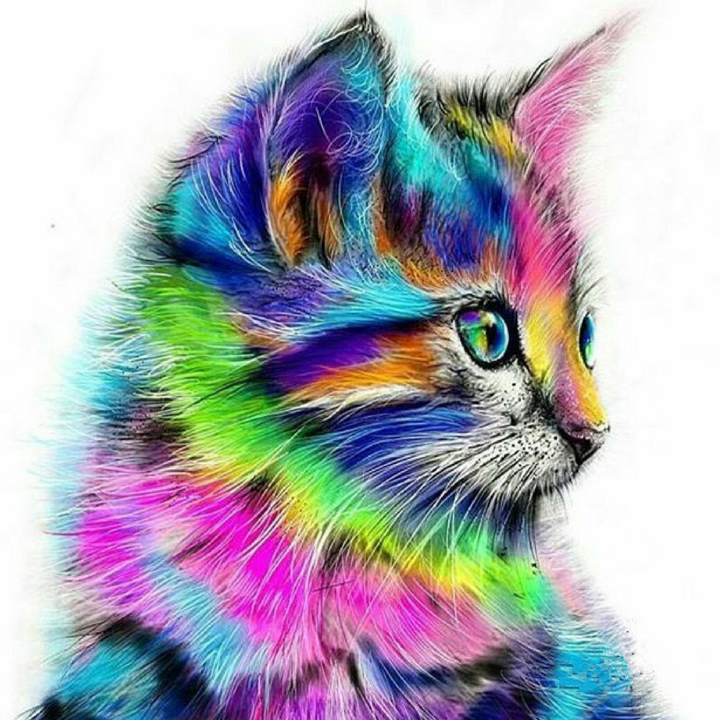 EXCLUSIVE! 5D Diamond Art Kit: Kitten & Donkey – Cat World Feline Superstore