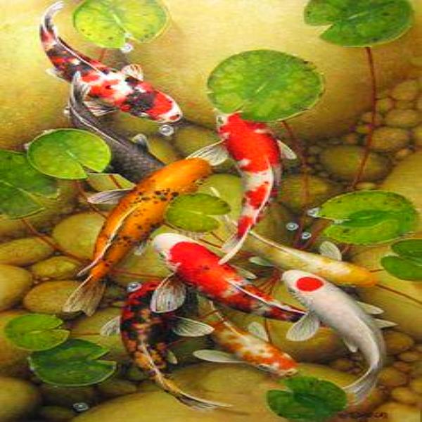 Koi Pond Diamond Painting Kit with Free Shipping – 5D Diamond Paintings