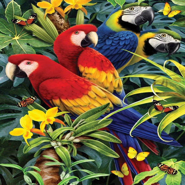 Tropical Parrots Diamond Painting Kit with Free Shipping – 5D Diamond ...