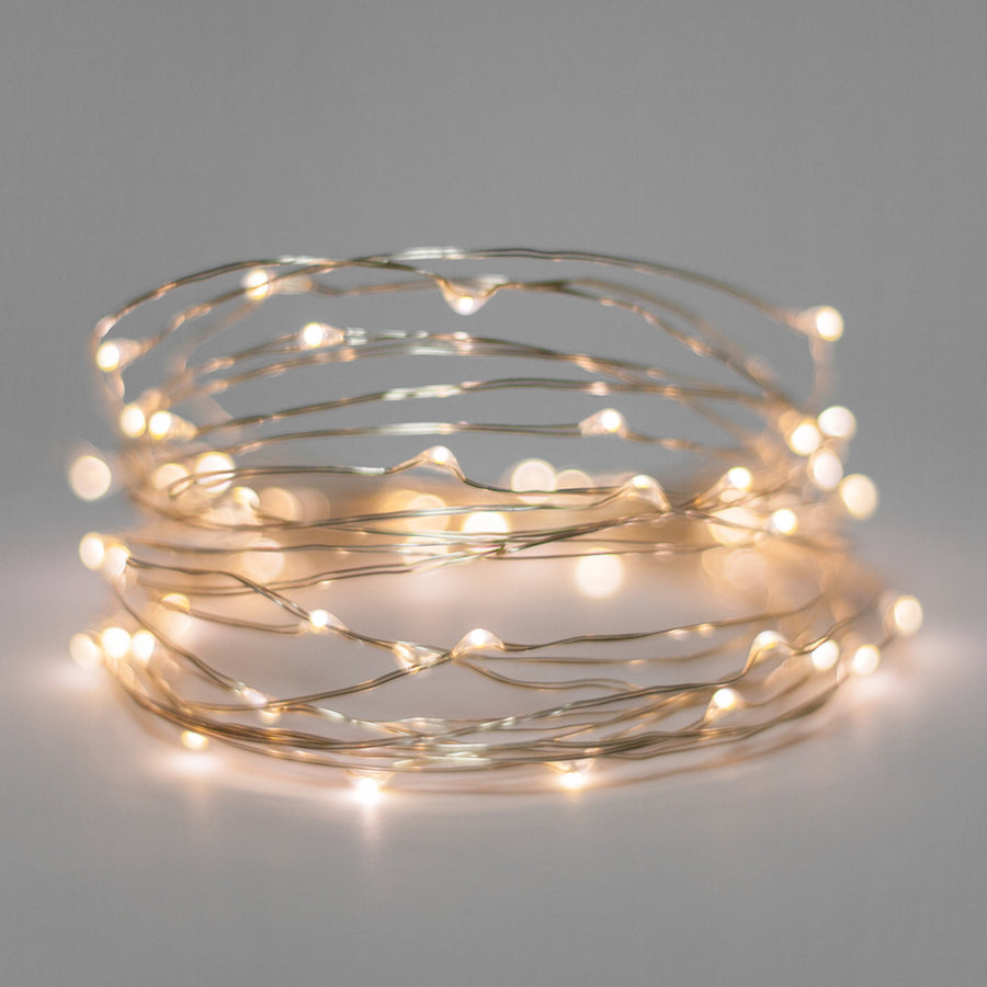Buy Mini LED Fairy Lights with Battery at 20% off – Staunton and Henry