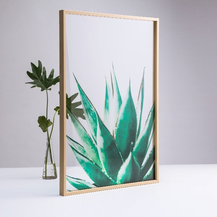 Transparent Botanical Wall Art With Frame