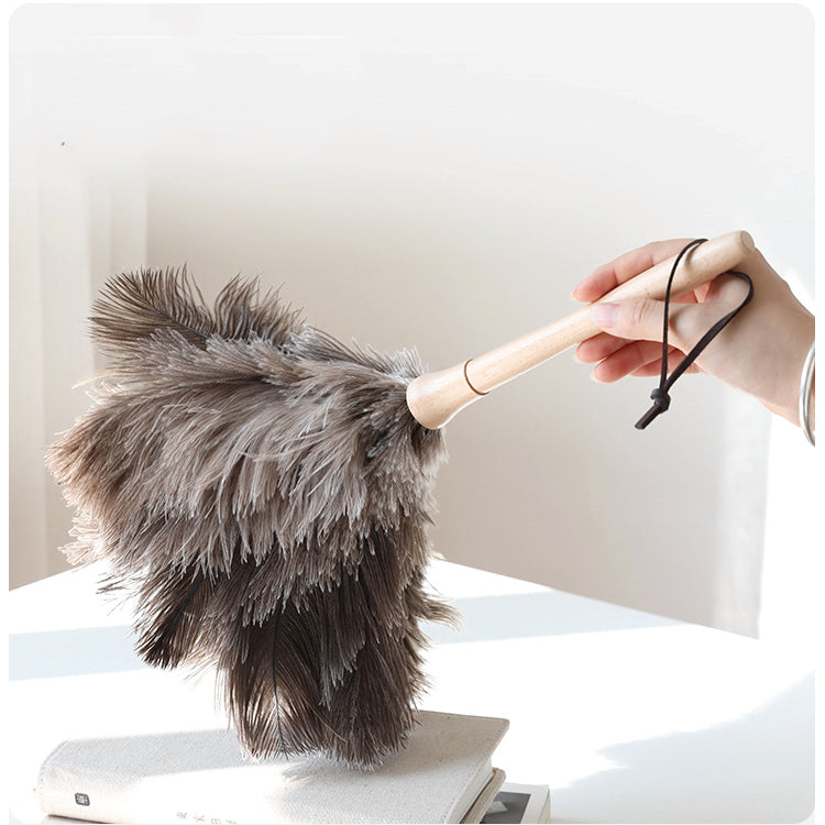 Buy Ostrich Feather Duster at 20% off – Staunton and Henry