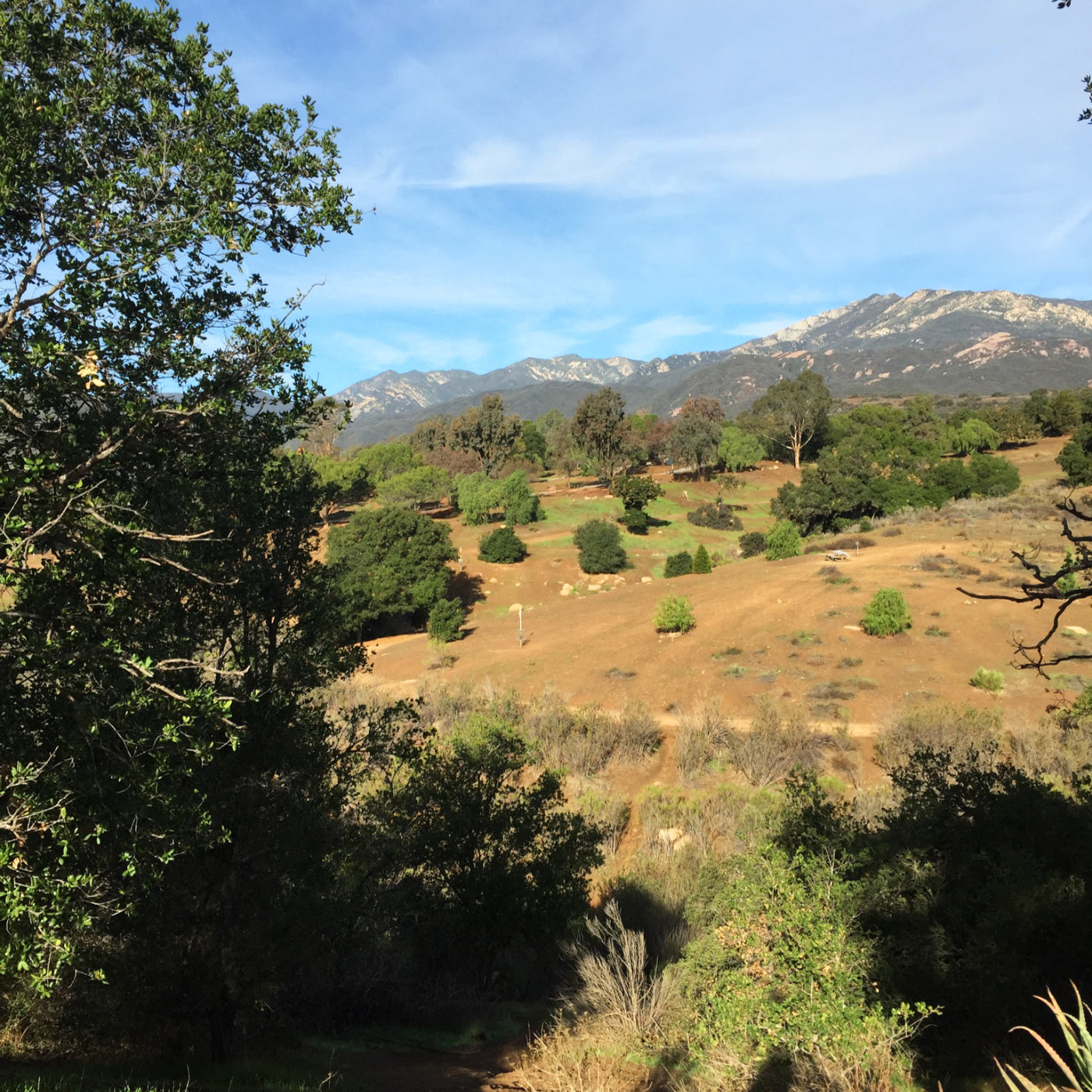 Coyote Point at Lake Casitas