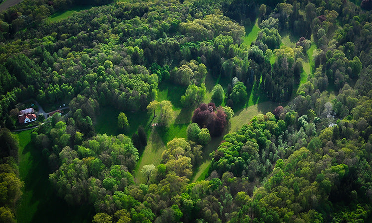 Aerial scenery from the Franz Ferdinand course.