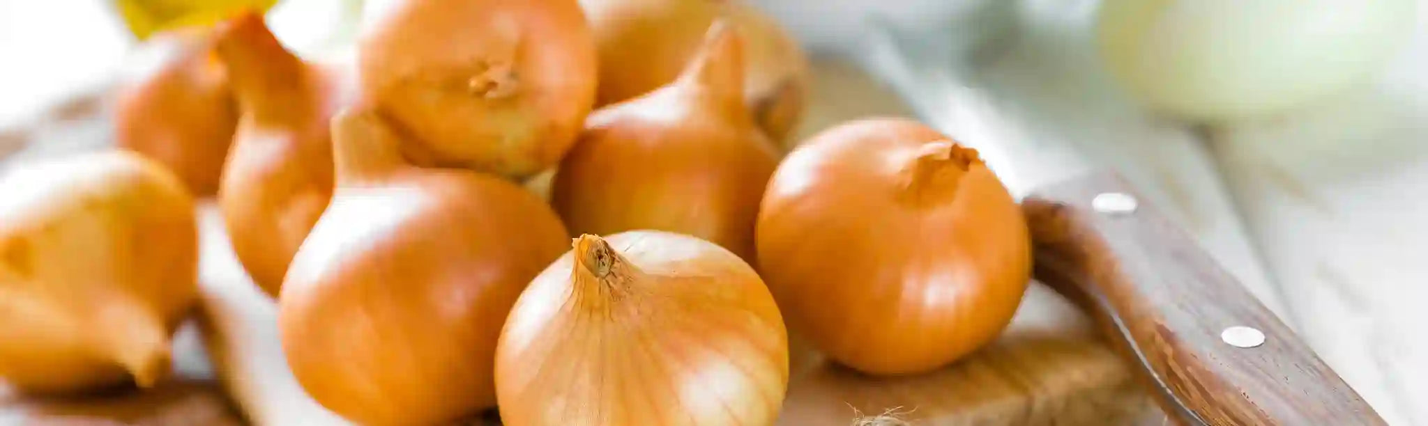 Onion