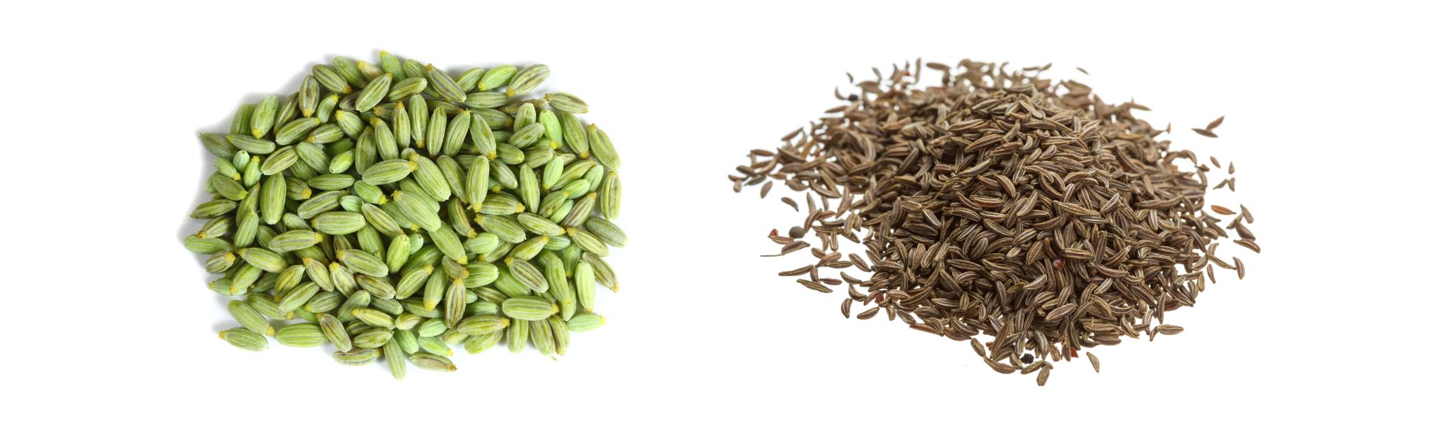 Fennel Seeds vs. Caraway Seeds
