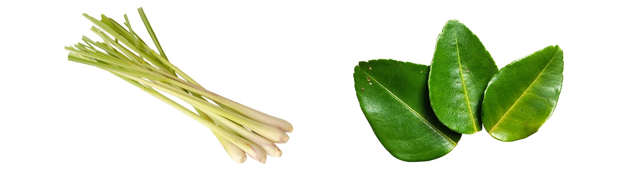 Lemon Grass vs. Kaffir Lime Leaves