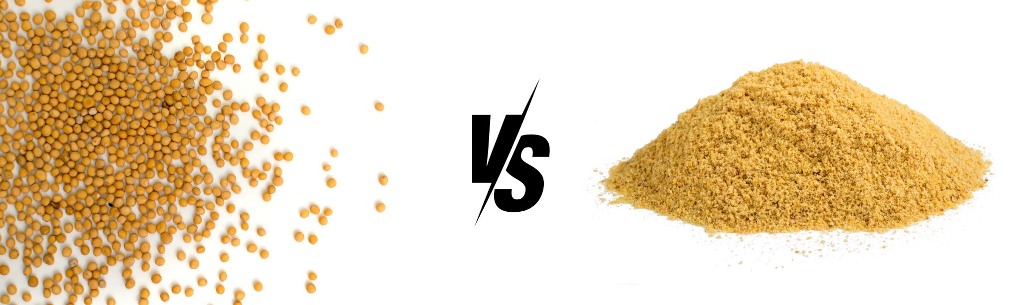 Mustard Seed vs. Mustard Powder