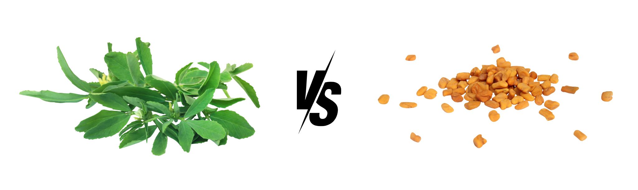 Fenugreek Leaves vs. Seeds