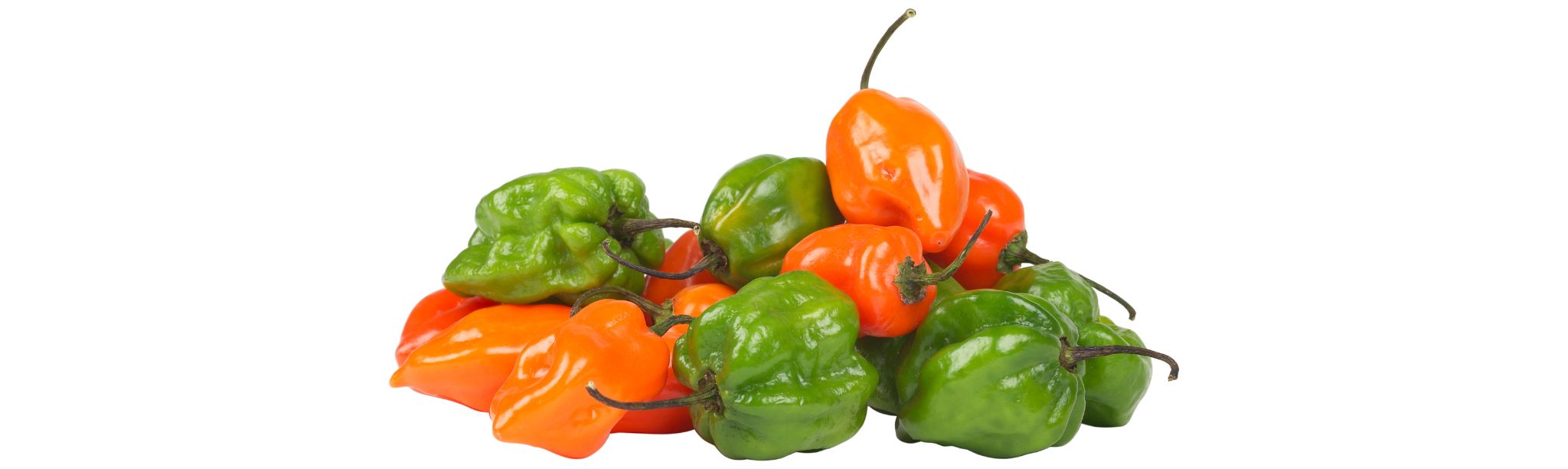 habanero