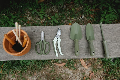 Gardening tools on a wooden bench