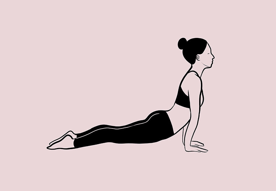 Cobra pose NGNM Sun Salutations