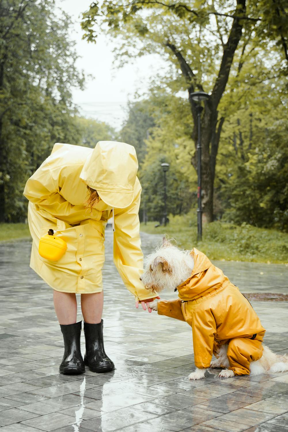 Can you wear Crocs in the rain? - rain jacket