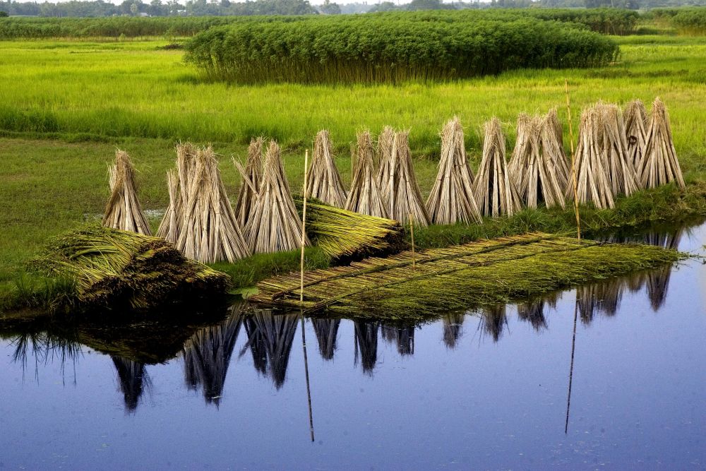 Jute Eco-Friendly Fabric For Clothing farm