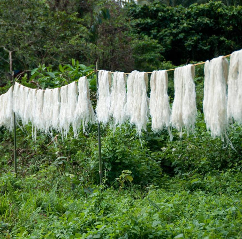 pinatex pineapple leather fiber drying