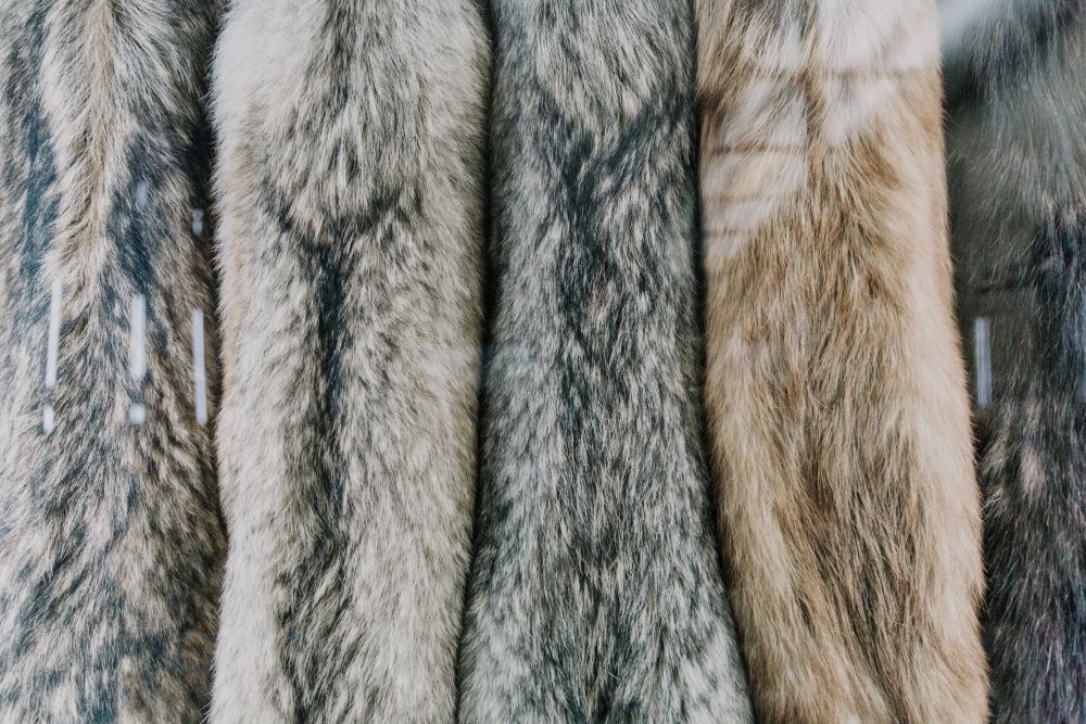 fur clothes