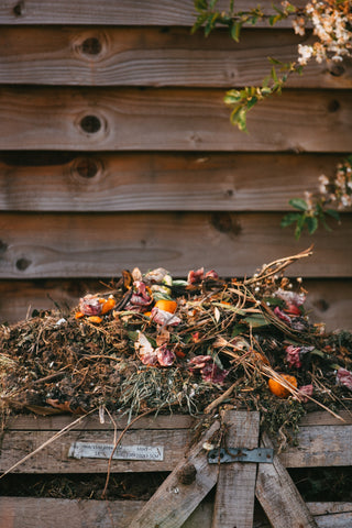 sustainable living compost