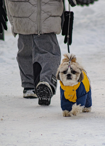 dress dog winter snowsuit