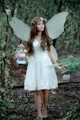 fairycore aesthetic fairy wings