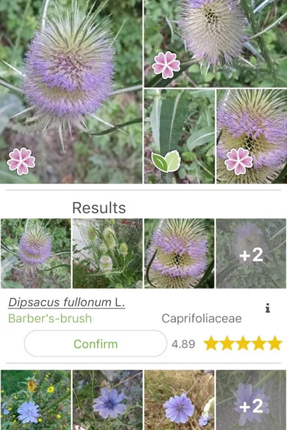 plantnet sustainable biodiversity conservation app