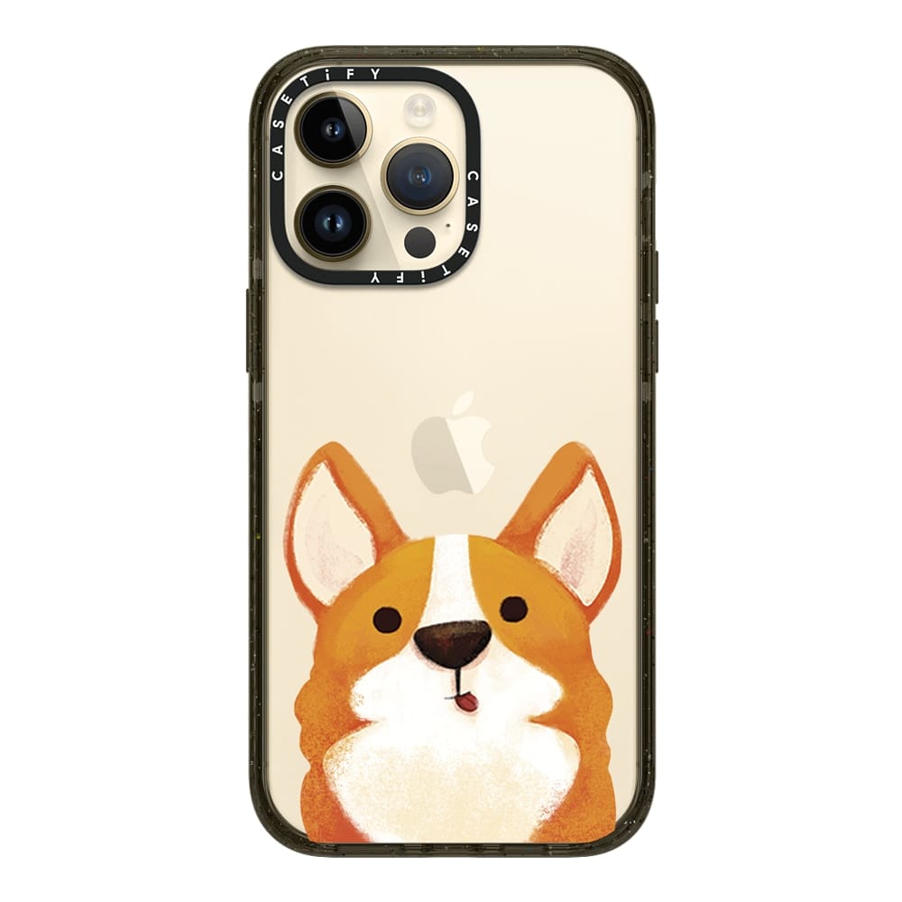 casetify case