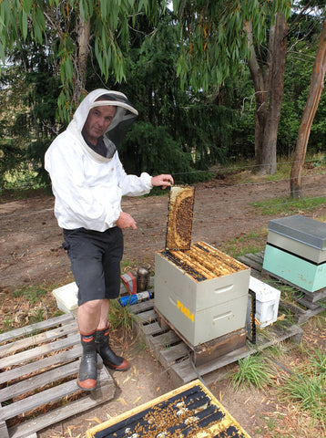 Queenstown beekeeper 