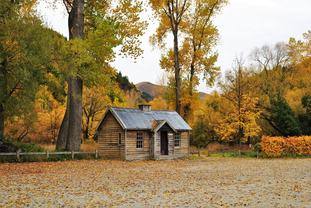 Arrowtown in Autumn