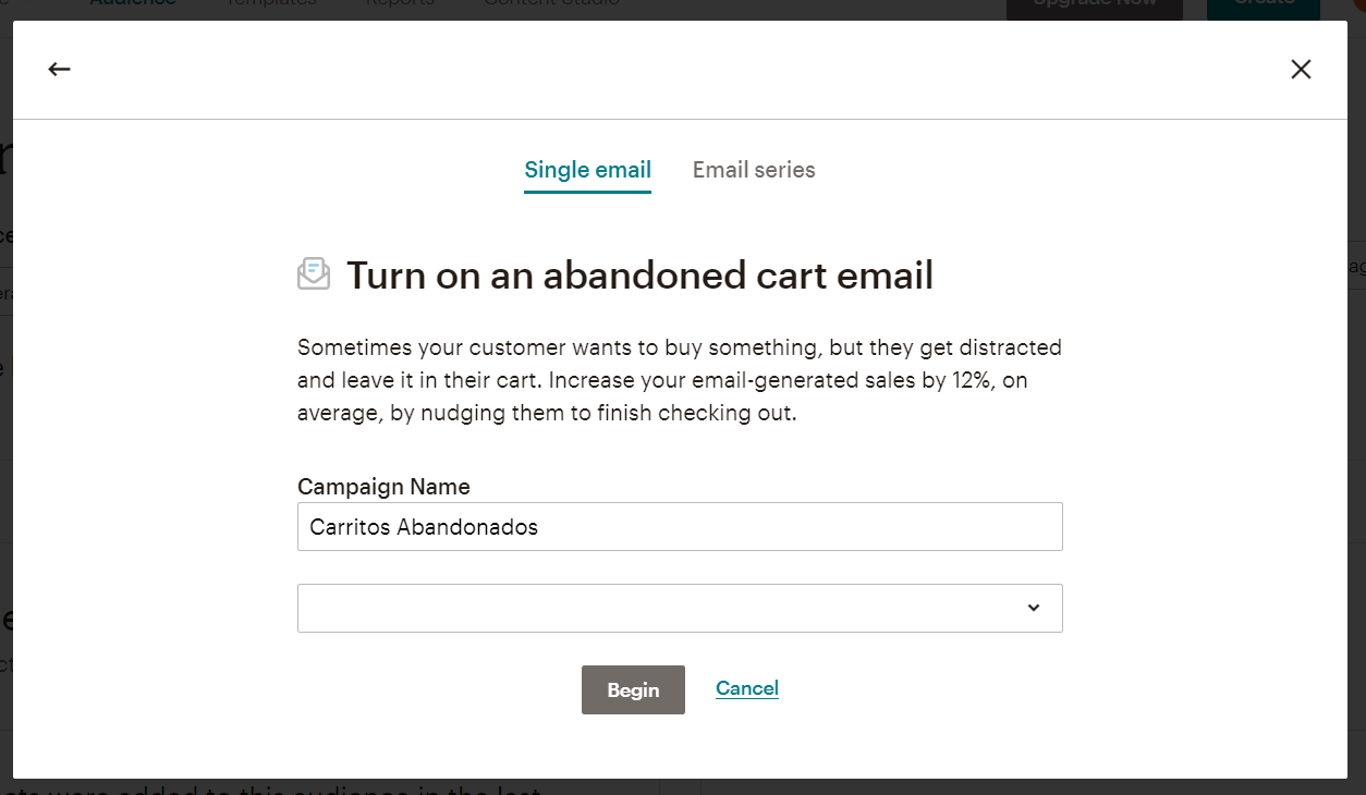 Cómo crear una campaña de Carritos Abandonados en Mailchimp