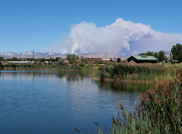 wildfire smoke