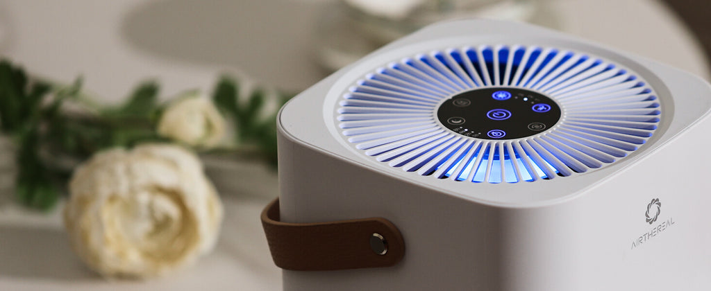 portable air purifier