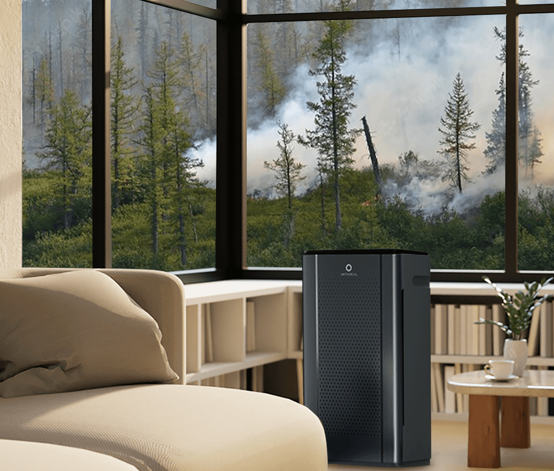 wildfire smoke air purifier