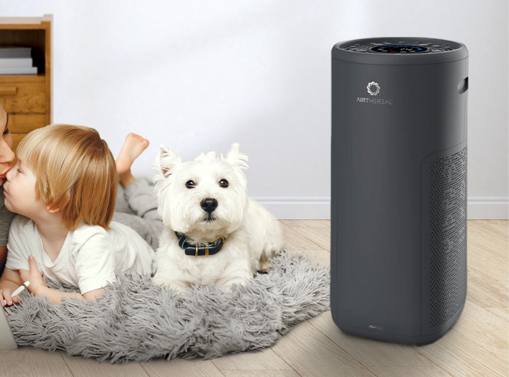 dog air purifier