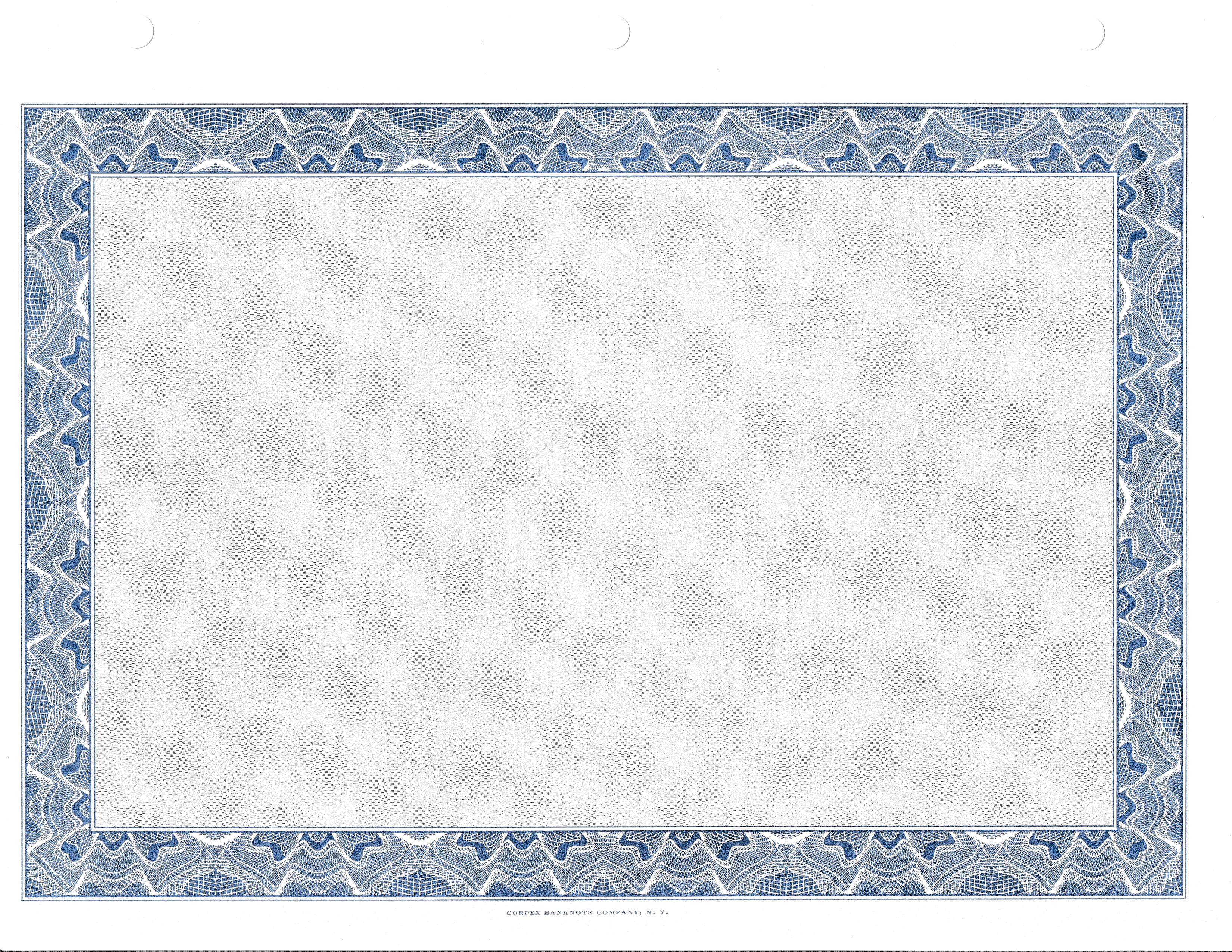 Border Green Tinted Blank Back- Set of 250