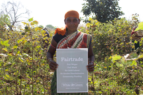 Fairtrade Cotton 