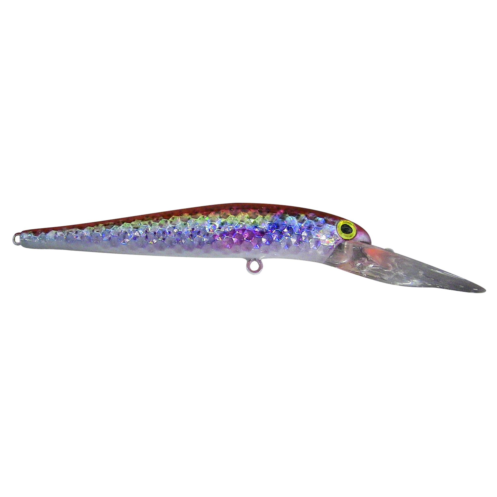 Baby Rainbow Trout Deep Diver Live Bait Series - Reno Bait Company