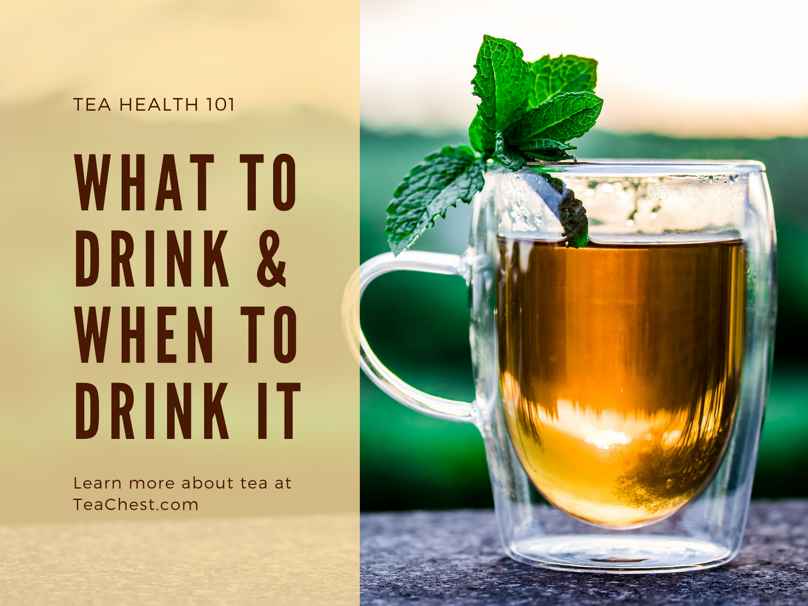 Tea Health 101: Guru Top Tips For Best Teas To Drink - Tea Chest Hawaii