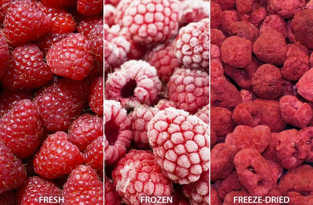 Visual comparison of fresh, frozen and freeze-dried raspberries.
