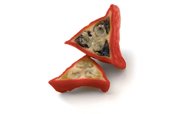 Split katemfe fruit showing arils.