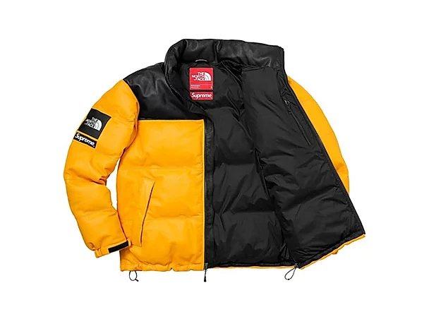 north face supreme leather