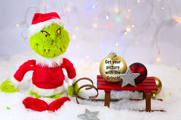 family friendly grinch photos for christmas