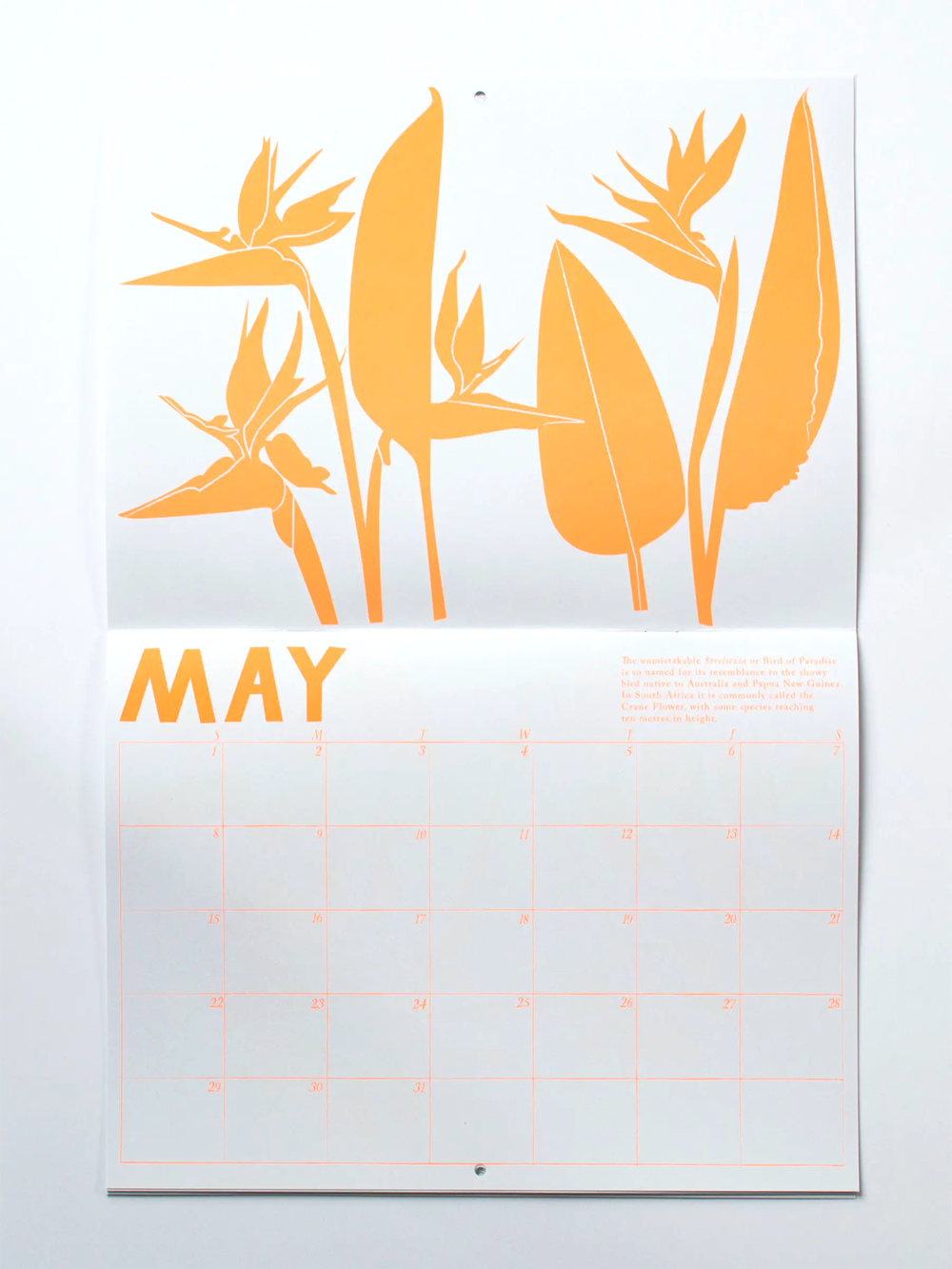 2022 Write-on Tropical Flowers Calendar by Banquet Workshop