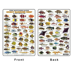 Divers Fish Identification Card (Slate) - Great Barrier Reef, Fishwatc ...