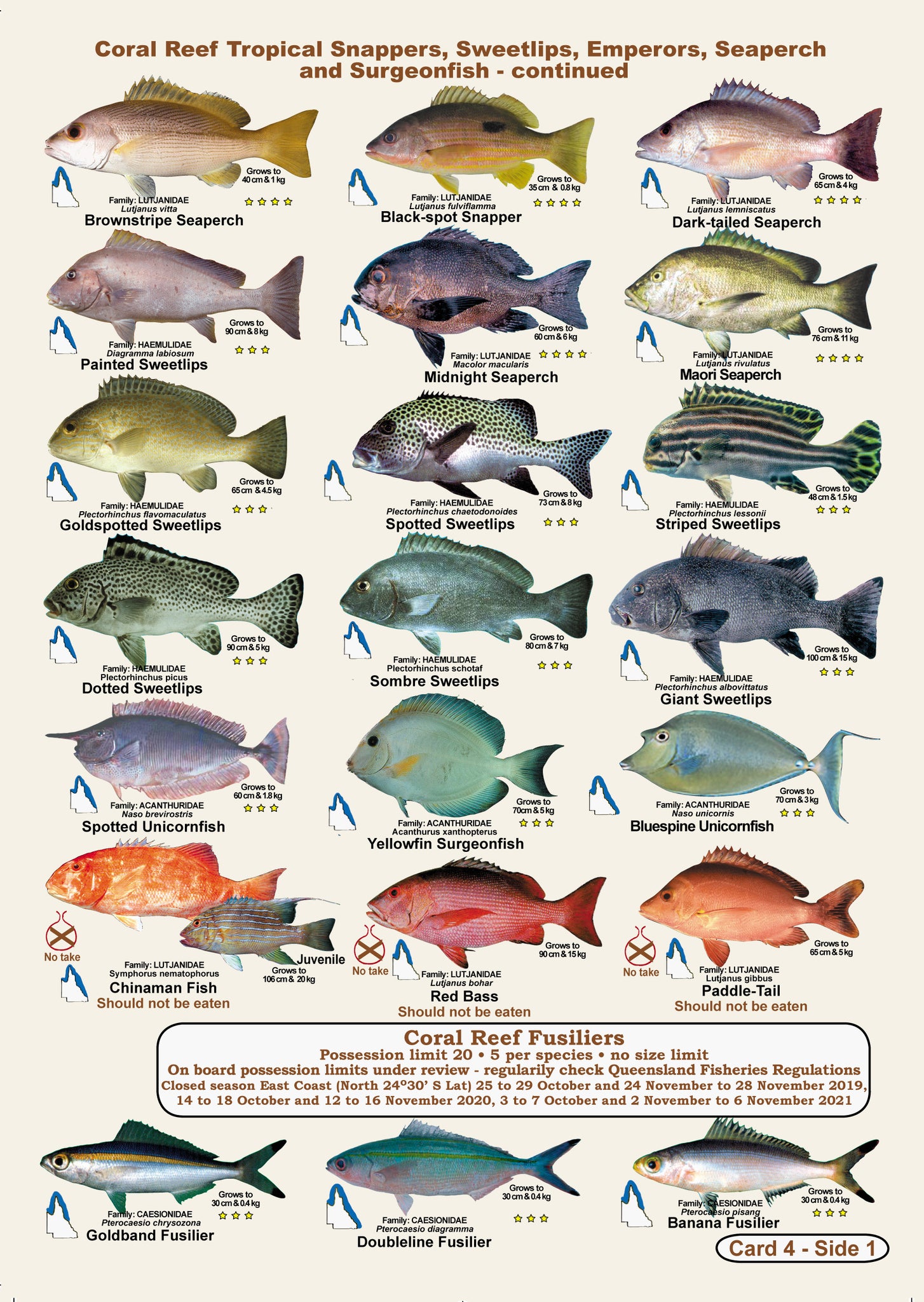 fish-species-identification-chart